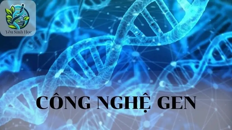 Công nghệ Gen - Các lĩnh vực ứng dụng chính của công nghệ Gen