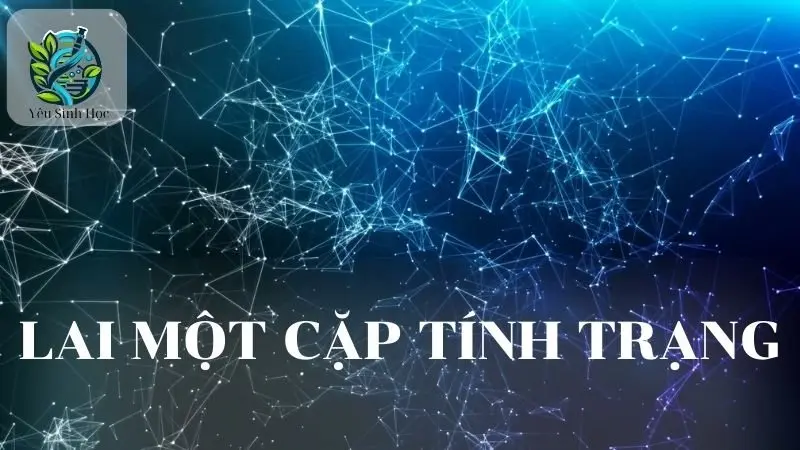 Lai một cặp tính trạng: Khái niệm, đặc điểm và ý nghĩa của chúng