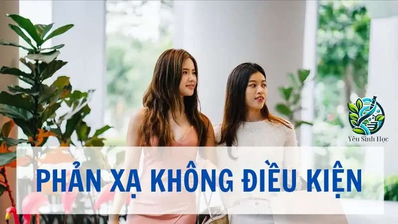 Phản xạ không điều kiện ở cơ thể người