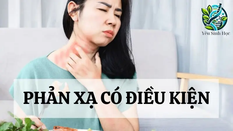 Phản xạ có điều kiện ở cơ thể người