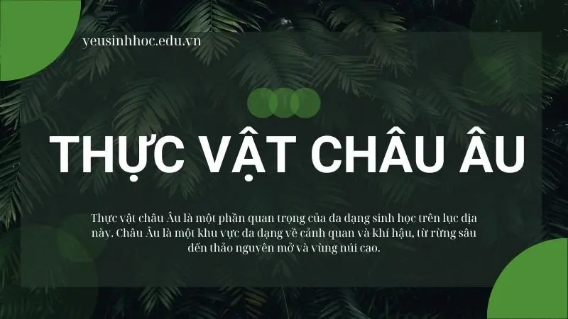 Thực vật Châu Âu là gì? Những đặc tính thích nghi tronh sinh học