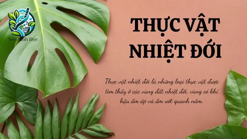 Thực vật nhiệt đới - Đặc điểm và cấu tạo trong sinh học 