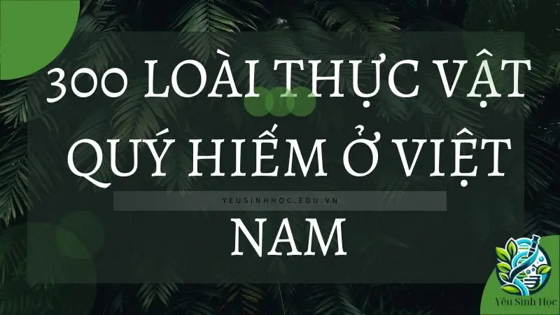 Danh sách 300 loài thực vật quý hiếm ở Việt Nam 