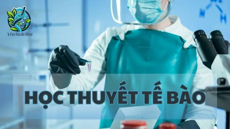 Học thuyết tế bào là gì? Chìa khóa cho sự hiểu biết về sinh học