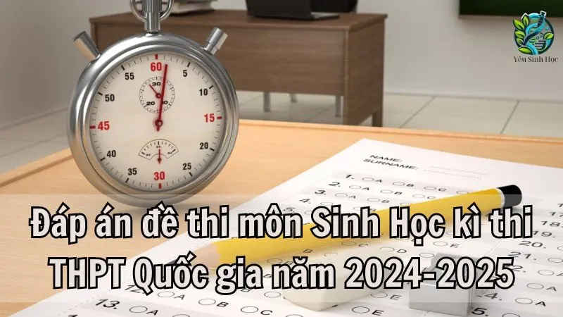 Đáp án đề thi môn Sinh Học kì thi THPT Quốc gia năm 2024-2025