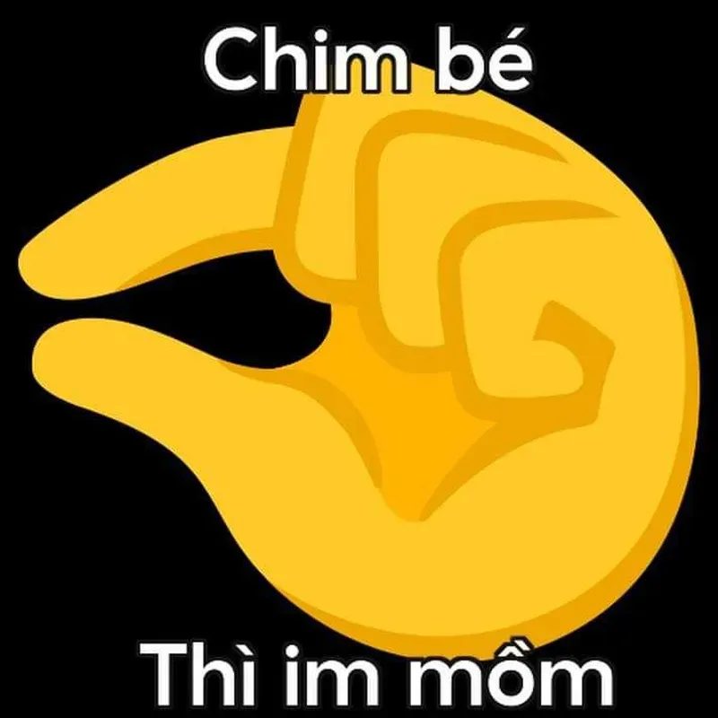 Bạn đã từng thấy một meme hài cute nhưng vẫn 
