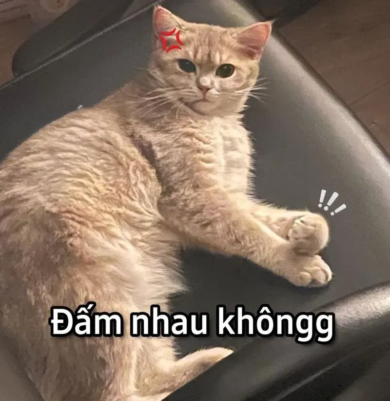 Chỉ một ánh mắt cũng đủ khiến bạn 