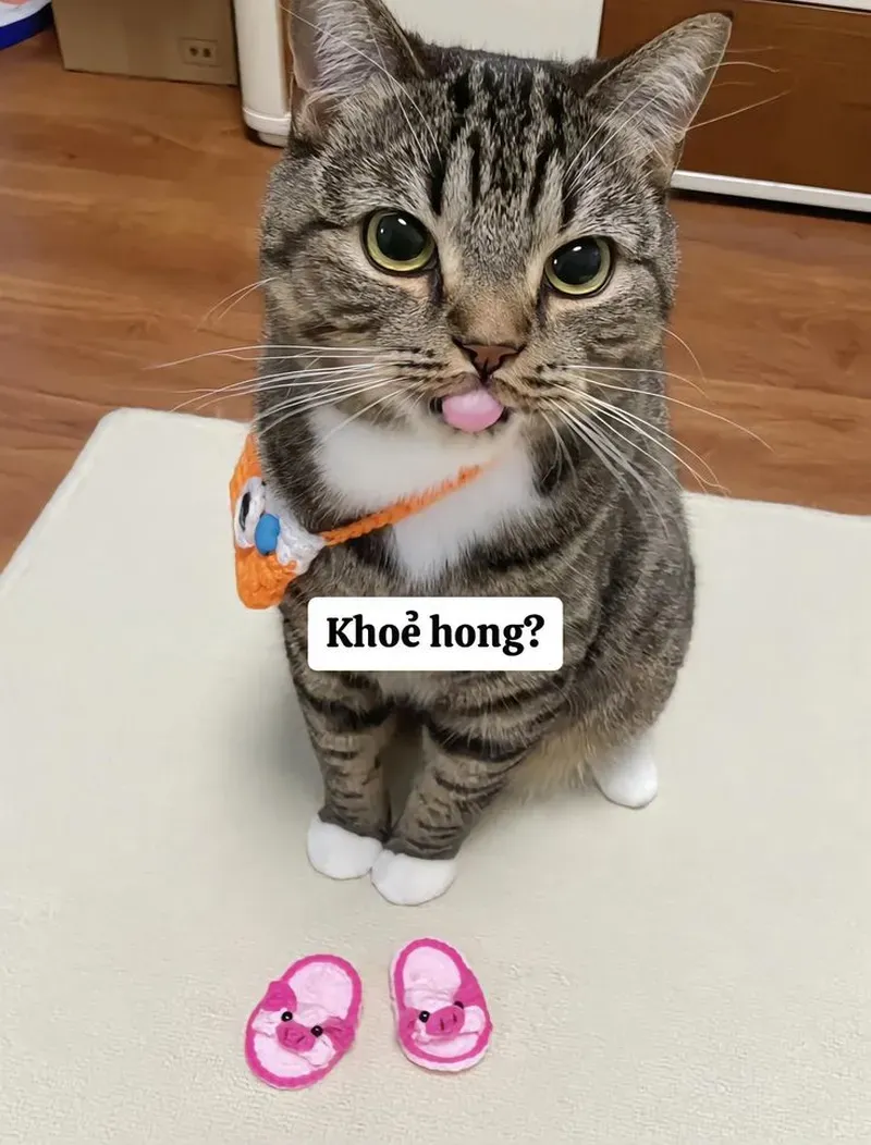Biểu cảm khó đỡ, hài hước đến mức không nhịn được cười