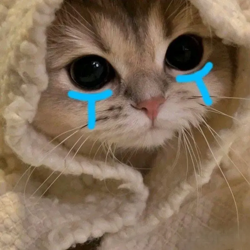 Nhìn là thấy 