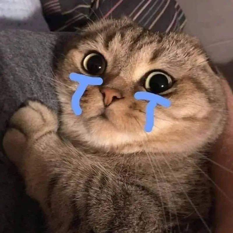 Tổng hợp những meme con mèo khóc đầy cảm xúc
