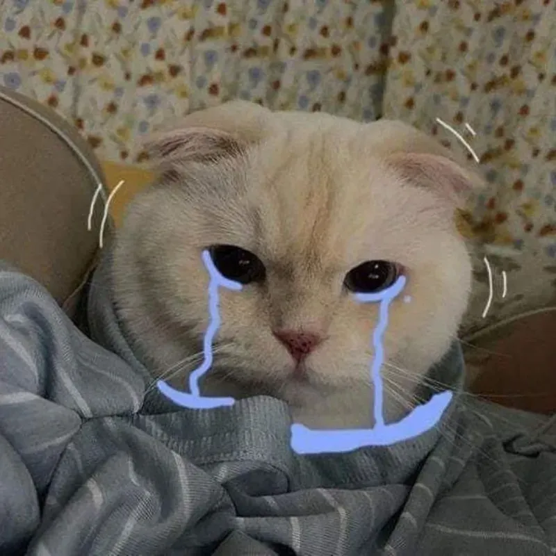Tổng hợp ảnh mèo khóc meme dành cho những ngày buồn