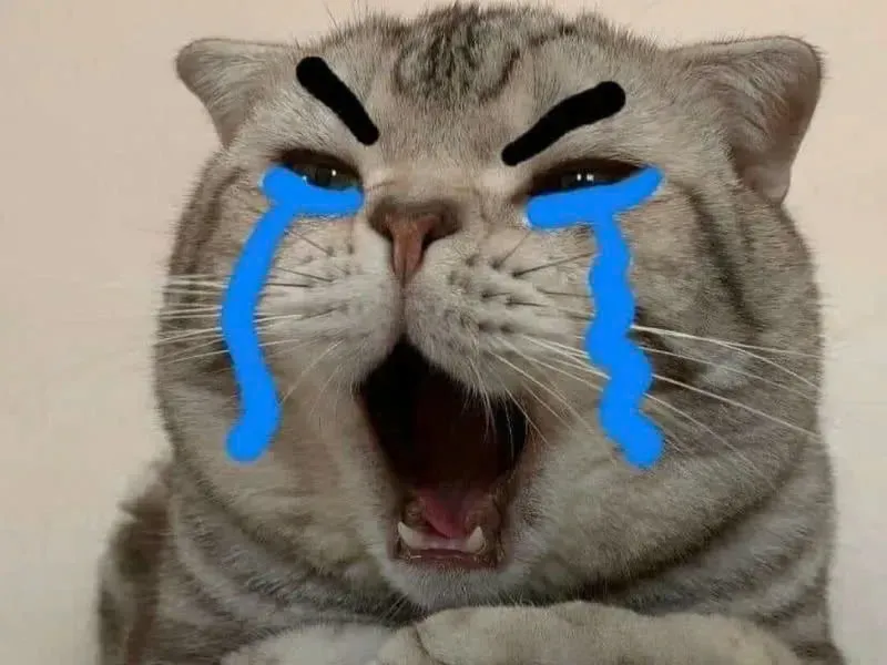 Cảm xúc tràn đầy với loạt ảnh meme mèo khóc hot nhất