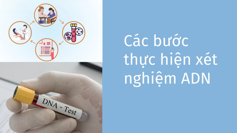 Các bước thực hiện xét nghiệm ADN huyết thống