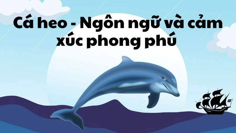 Cá heo - Ngôn ngữ và cảm xúc phong phú 