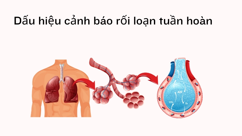 Dấu hiệu cảnh báo rối loạn tuần hoàn bạn không thể bỏ qua