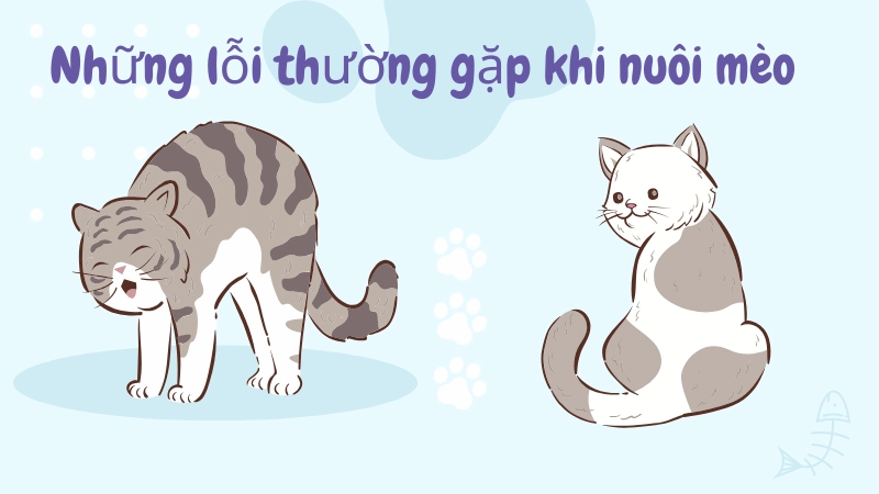 Các loại thức ăn cho mèo con tốt nhất hiện nay