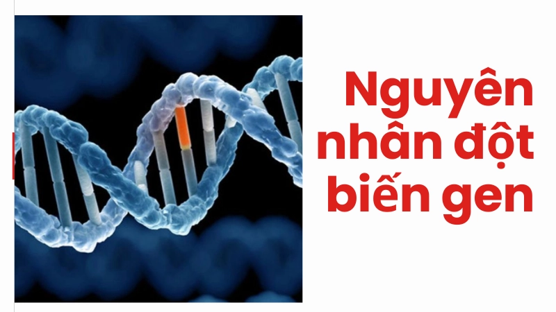 Nguyên nhân đột biến gen bạn cần biết ngay