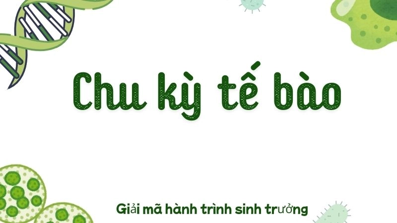 Giai đoạn chuẩn bị - Bước đệm của sự sống