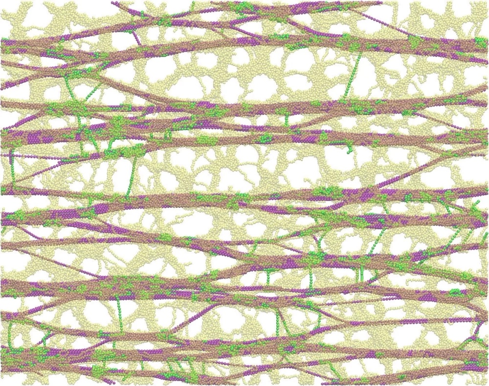 Bản đồ phân tử của thành tế bào trong sinh học phân tử của tế bào tập 5