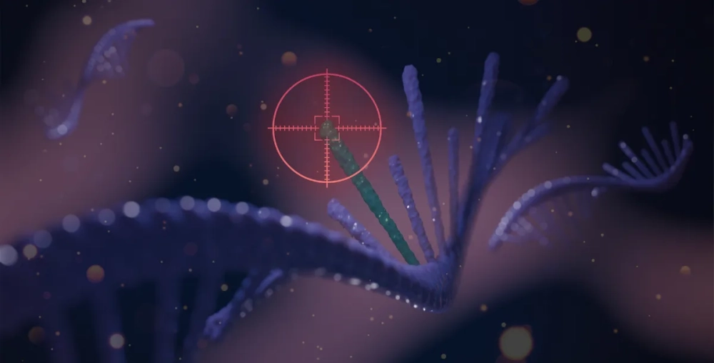 Tác động của đột biến thêm một cặp nucleotit gây dịch khung