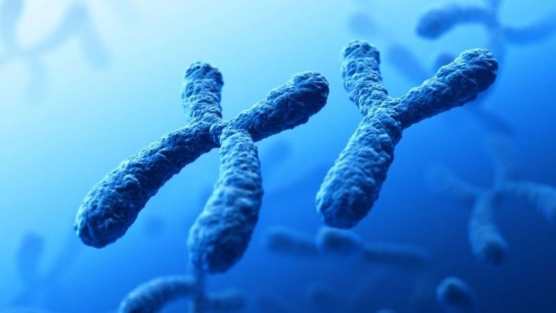 Tại sao không nên coi thường 