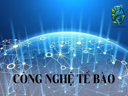 Công nghệ tế bào - Các lĩnh vực ứng dụng chính của công nghệ tế bào