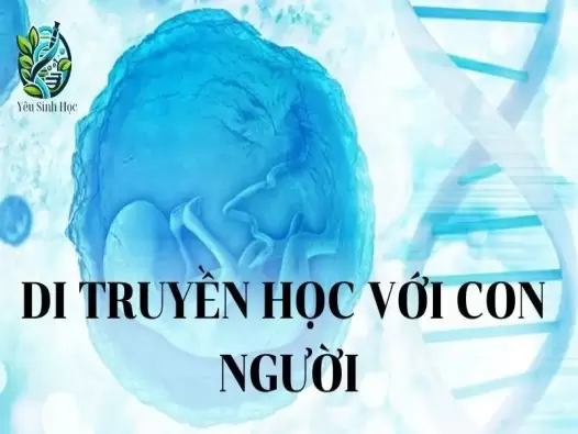 Di truyền học với con người