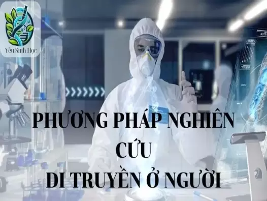 Phương pháp nghiên cứu di truyền ở người