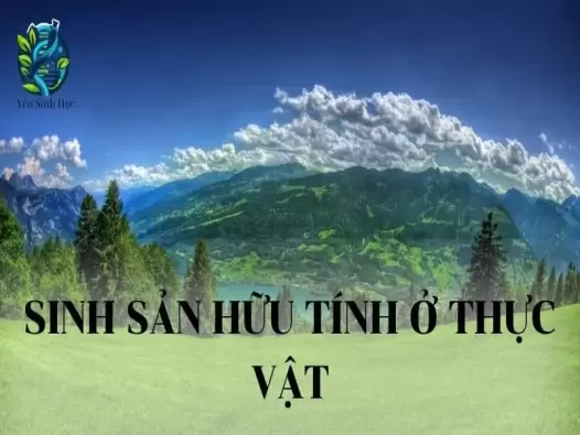 Sinh sản hữu tính ở thực vật - Đặc điểm, quá trình và ý nghĩa