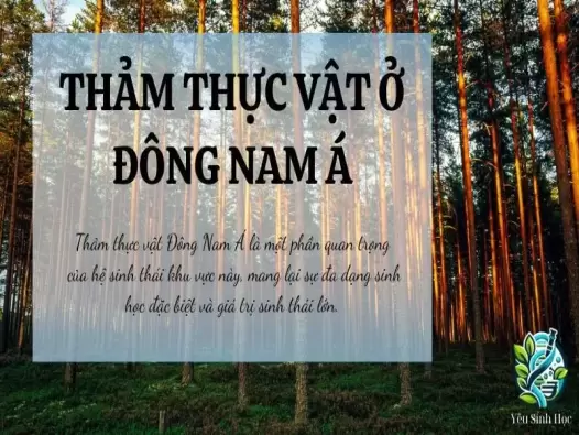 Thảm thực vật chủ yếu ở Đông Nam Á