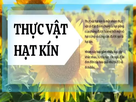 Thực vật hạt kín là gì? Đặc điểm cấu tạo của thực vật hạt kín