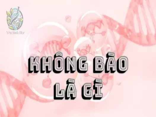 Không bào là gì? Đặc điểm, cấu trúc và chức năng của không bào