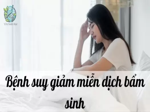 Tìm hiểu về bệnh suy giảm miễn dịch bẩm sinh và cách khắc phục