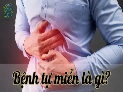 Giải mã bí ẩn về bệnh tự miễn - Nỗi ám ảnh của hệ miễn dịch