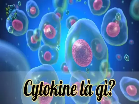 Hiểu rõ về cytokine và những ứng dụng trong điều trị y học