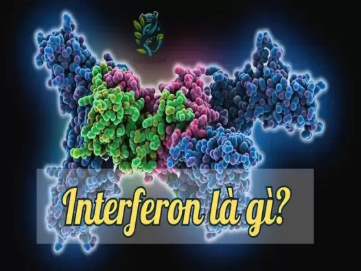 Interferon là gì? Giải mã bí ẩn và ứng dụng trong y học