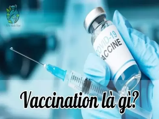 Vaccination là gì? Tiêm chủng an toàn và hiệu quả