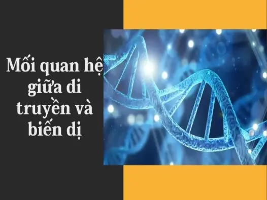 Sự thật tranh cãi về mối quan hệ giữa di truyền và biến dị