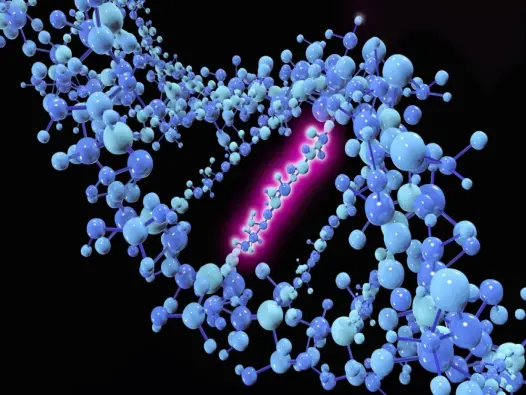 Tổng hợp hình ảnh đột biến điểm và các dạng thường gặp