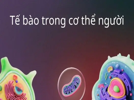 Tế bào trong cơ thể người thay đổi ra sao theo tuổi