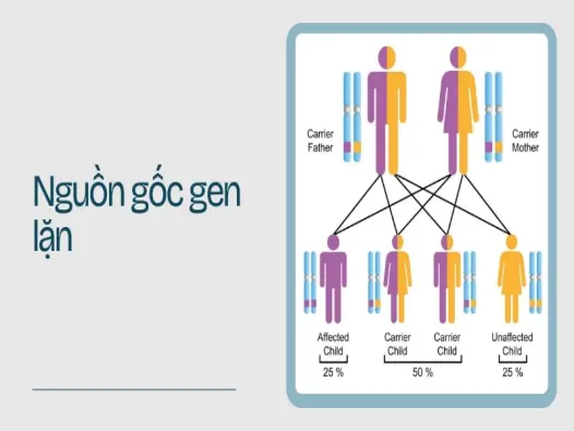 Cách hiểu đúng bệnh di truyền lặn để bảo vệ tương lai con trẻ