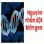 Nguyên nhân đột biến gen- Hiểm họa tiềm ẩn cần tránh nhỏ