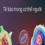 Tế bào trong cơ thể người thay đổi ra sao theo tuổi nhỏ