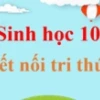 Các amino acid khác nhau ở những đặc điểm nào