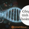 Cách Tính Tần Số Hoán Vị Gen Sinh Học 12 Dễ Hiểu Nhất