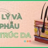 Cấu tạo da người: Khám phá ba lớp chính và vai trò bảo vệ