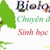 Cấu tạo và Chức năng của Protein: Khám phá Vai trò Thiết yếu trong Cơ thể