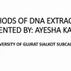 DNA Extraction: Quy Trình và Các Phương Pháp Hiện Đại Năm 2026