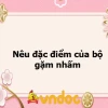 Động vật gặm nhấm: Khám phá thế giới đa dạng và vai trò trong tự nhiên