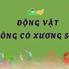Động Vật Không Xương Sống Khám Phá Thế Giới Đa Dạng Và Bí Ẩn